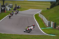 Advanced Group White Bikes